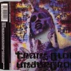 TRANS-GLOBAL UNDERGROUND EARTH TRIBE / SLOWFINGER Фирменный CD TRANS-GLOBAL UNDERGROUND EARTH TRIBE / SLOWFINGER Фирменный CD