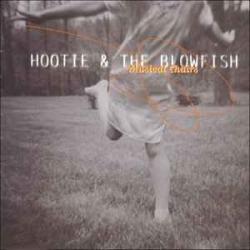 HOOTIE & THE BLOWFISH MUSICAL CHAIRS Фирменный CD HOOTIE & THE BLOWFISH MUSICAL CHAIRS Фирменный CD