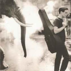 BRYAN ADAMS ON A DAY LIKE THIS Фирменный CD BRYAN ADAMS ON A DAY LIKE THIS Фирменный CD