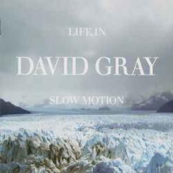 DAVID GRAY Life In Slow Motion Фирменный CD DAVID GRAY Life In Slow Motion Фирменный CD