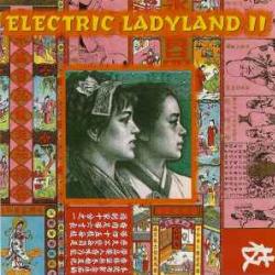 VARIOUS Electric Ladyland II Фирменный CD VARIOUS Electric Ladyland II Фирменный CD