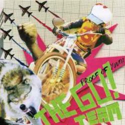 THE GO! TEAM Proof Of Youth Фирменный CD THE GO! TEAM Proof Of Youth Фирменный CD