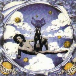 ANIMA Stürmischer Himmel Фирменный CD ANIMA Stürmischer Himmel Фирменный CD