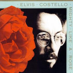 ELVIS COSTELLO MIGHTY LIKE A ROSE Фирменный CD ELVIS COSTELLO MIGHTY LIKE A ROSE Фирменный CD