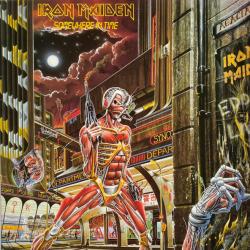 IRON MAIDEN SOMEWHERE IN TIME Виниловая пластинка IRON MAIDEN SOMEWHERE IN TIME Виниловая пластинка