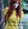 ONE CELL IN THE SEA