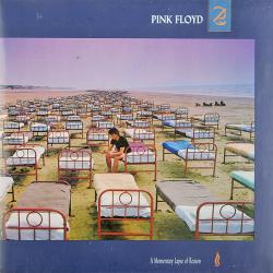 PINK FLOYD A MOMENTARY LAPSE OF A REASON Виниловая пластинка PINK FLOYD A MOMENTARY LAPSE OF A REASON Виниловая пластинка