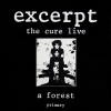 Concert - The Cure Live