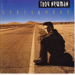 TROY NEWMAN GYPSY MOON Фирменный CD TROY NEWMAN GYPSY MOON Фирменный CD