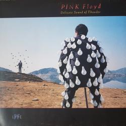 PINK FLOYD DELICATE SOUND OF THUNDER Виниловая пластинка PINK FLOYD DELICATE SOUND OF THUNDER Виниловая пластинка