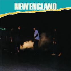 NEW ENGLAND WALKING WILD Виниловая пластинка NEW ENGLAND WALKING WILD Виниловая пластинка