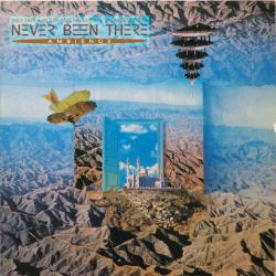 NEVER BEEN THERE AMBIENCE Виниловая пластинка NEVER BEEN THERE AMBIENCE Виниловая пластинка