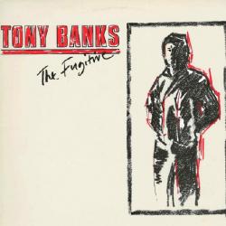 TONY BANKS The Fugitive Виниловая пластинка TONY BANKS The Fugitive Виниловая пластинка