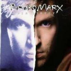 RICHARD MARX RUSH STREET Виниловая пластинка RICHARD MARX RUSH STREET Виниловая пластинка