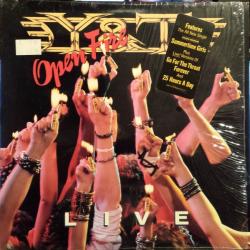 Y&T Open Fire Виниловая пластинка Y&T Open Fire Виниловая пластинка