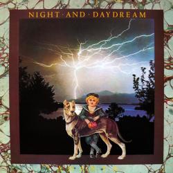 ANANTA NIGHT AND DAYDREAM Виниловая пластинка ANANTA NIGHT AND DAYDREAM Виниловая пластинка