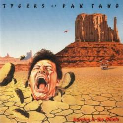 TYGERS OF PAN TANG Burning In The Shade Виниловая пластинка TYGERS OF PAN TANG Burning In The Shade Виниловая пластинка