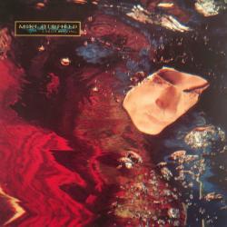 MIKE OLDFIELD EARTH MOVING Виниловая пластинка MIKE OLDFIELD EARTH MOVING Виниловая пластинка