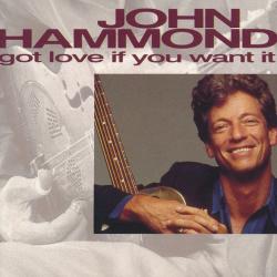JOHN HAMMOND Got Love If You Want It Фирменный CD JOHN HAMMOND Got Love If You Want It Фирменный CD