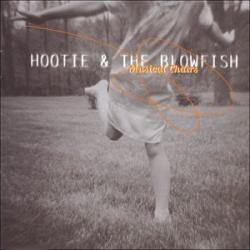 HOOTIE & THE BLOWFISH MUSICAL CHAIRS Фирменный CD HOOTIE & THE BLOWFISH MUSICAL CHAIRS Фирменный CD