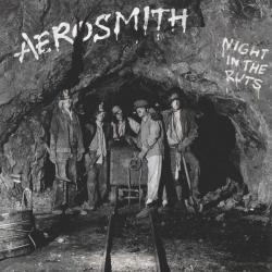 AEROSMITH NIGHT IN THE RUTS Фирменный CD AEROSMITH NIGHT IN THE RUTS Фирменный CD