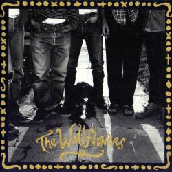 WALLFLOWERS The Wallflowers Фирменный CD WALLFLOWERS The Wallflowers Фирменный CD