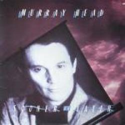 MURRAY HEAD SOONER OR LATER Виниловая пластинка MURRAY HEAD SOONER OR LATER Виниловая пластинка
