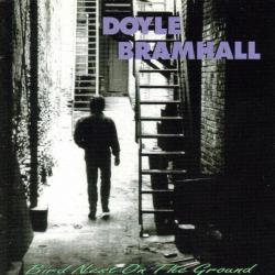 Doyle Bramhall Bird Nest On The Ground Фирменный CD Doyle Bramhall Bird Nest On The Ground Фирменный CD