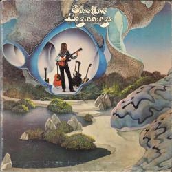 STEVE HOWE BEGINNINGS Виниловая пластинка STEVE HOWE BEGINNINGS Виниловая пластинка