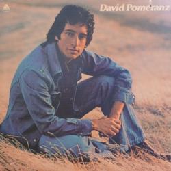 DAVID POMERANZ IT'S IN EVERYONE OF US Виниловая пластинка DAVID POMERANZ IT'S IN EVERYONE OF US Виниловая пластинка