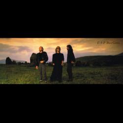 BEE GEES E.S.P Виниловая пластинка BEE GEES E.S.P Виниловая пластинка