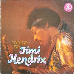 LIVE EXPERIENCE BAND TRIBUTE TO JIMI HENDRIX Виниловая пластинка LIVE EXPERIENCE BAND TRIBUTE TO JIMI HENDRIX Виниловая пластинка
