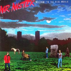MR. MISTER WELCOME TO THE REAL WORLD Виниловая пластинка MR. MISTER WELCOME TO THE REAL WORLD Виниловая пластинка