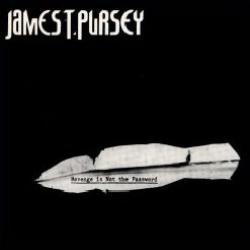 JAMES T. PURSEY REVENGE IS NOT THE PASSWORD Виниловая пластинка JAMES T. PURSEY REVENGE IS NOT THE PASSWORD Виниловая пластинка