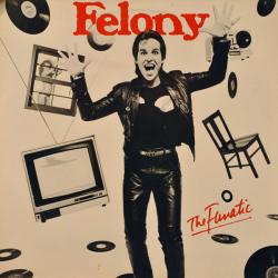 FELONY THE FANATIC Виниловая пластинка FELONY THE FANATIC Виниловая пластинка