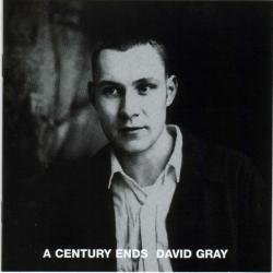 DAVID GRAY A Century Ends Фирменный CD DAVID GRAY A Century Ends Фирменный CD