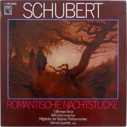 SCHUBERT Romantische Nachtstücke Виниловая пластинка SCHUBERT Romantische Nachtstücke Виниловая пластинка