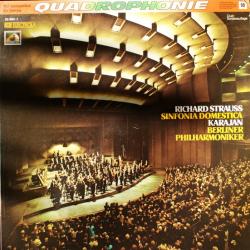RICHARD STRAUSS Sinfonia Domestica Op.53 Виниловая пластинка RICHARD STRAUSS Sinfonia Domestica Op.53 Виниловая пластинка