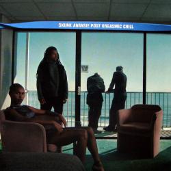 SKUNK ANANSIE Post Orgasmic Chill Фирменный CD SKUNK ANANSIE Post Orgasmic Chill Фирменный CD