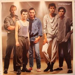 BOOMTOWN RATS IN THE LONG GRASS Виниловая пластинка 