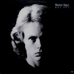 WALTER EGAN NOT SHY Виниловая пластинка WALTER EGAN NOT SHY Виниловая пластинка