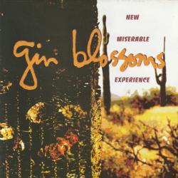 Gin Blossoms New Miserable Experience Фирменный CD Gin Blossoms New Miserable Experience Фирменный CD