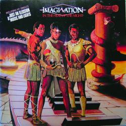 IMAGINATION IN THE HEAT OF THE NIGHT Виниловая пластинка 