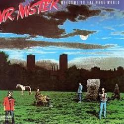 MR. MISTER WELCOME TO THE REAL WORLD Виниловая пластинка MR. MISTER WELCOME TO THE REAL WORLD Виниловая пластинка