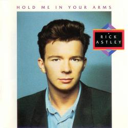 RICK ASTLEY Hold Me In Your Arms Фирменный CD RICK ASTLEY Hold Me In Your Arms Фирменный CD