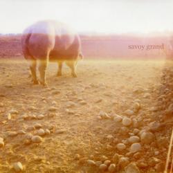 SAVOY GRAND Accident Book Фирменный CD SAVOY GRAND Accident Book Фирменный CD