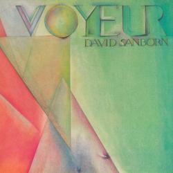 DAVID SANBORN VOYEUR Виниловая пластинка DAVID SANBORN VOYEUR Виниловая пластинка