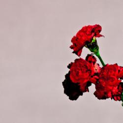 JOHN LEGEND Love In The Future Фирменный CD JOHN LEGEND Love In The Future Фирменный CD