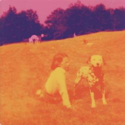 EELS Blinking Lights And Other Revelations Фирменный CD EELS Blinking Lights And Other Revelations Фирменный CD