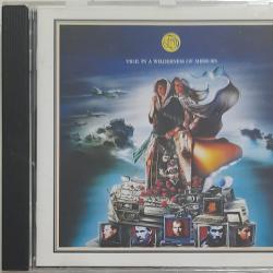 FISH Vigil In A Wilderness Of Mirrors Фирменный CD FISH Vigil In A Wilderness Of Mirrors Фирменный CD